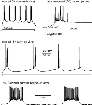 Bursting Examples.gif