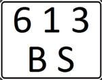 Kyrgyzstan company license plate 1990s (rear).png