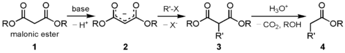 Malonic ester synthesis