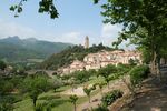 Olargues vue generale.JPG