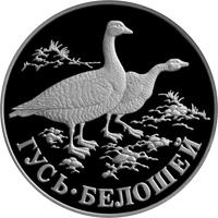 RR5109-0038R Гусь-белошей.png