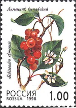 Russia stamp 1998 № 449.jpg