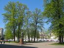 ВМА, памятник Боткину и сад.jpg