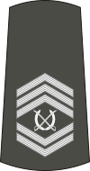 08-Serbian Army-WO1.svg