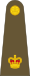 British Army OF-3.svg