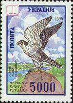Falco peregrinus Stamps.jpg