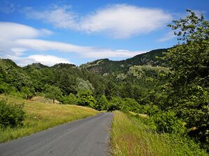 Panorama Trairio 3.jpg