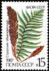 Почтовая марка СССР № 5849. 1987. Флора СССР. Папортники.jpg