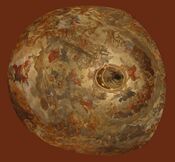 Church Saint Francis of Assisi Prague Fresco Reiner.jpg