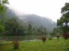 Cuc.Phuong.National.Park.jpg