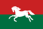 Flag of Ufimsky rayon (version).svg