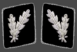 HH-SS-Oberfuhrer-Collar.png
