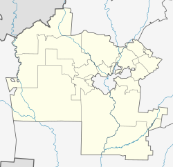 Паганурское кладбище (Медведевский район)