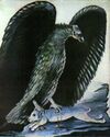 Niko Pirosmani. ''An Eagle with a Captured Hare''. Oil on oil-cloth, 100x80 cm. The State Museum of Fine Arts of Georgia, Tbilisi.jpg