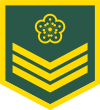 Taiwan-army-OR-3.svg