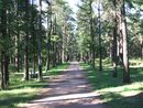 10023Верхний парк.JPG