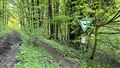 zentriert