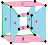 Complex polygon 4-4-2-perspective-labeled.png