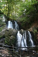 Forsakar waterfall.jpg