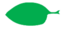 Leaf morphology oblique.png