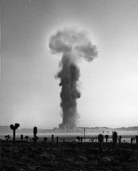 Plumbbob Newton 001.jpg