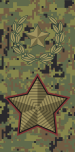 Russia-Army-OF-9-camo (2010).svg