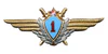Знак летчика 1 класса.jpg