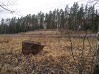 Пл. Ройско.jpg
