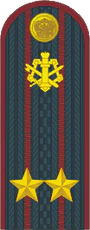 Подполковник ФСИН.png
