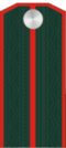 Подпоручик РОА.png