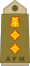13.Malta Army-COL.svg