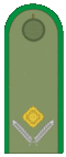 Belarus BKA 1944 everyday - Leytenánt.gif