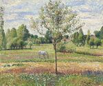 Camille Pissarro - Le pré avec cheval gris, Eragny (1893).jpg