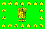 Флаг