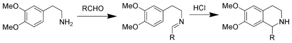 Pictet-Spengler Isoquinoline Synthesis Scheme.png