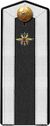 Red Army cadet signal troops corps engineer service school 1943 shoulder straps.jpg