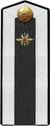 Red Army cadet signal troops corps engineer service school 1943 shoulder straps.jpg