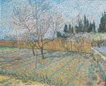 Van Gogh - Blühender Obstgarten mit Pfirsichbäumen.jpeg