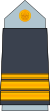 10. AAF-JCPT.svg