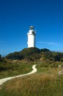 Cape Foulwind lighthouse.jpg
