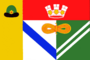 Flag of Sasovo (Ryazan oblast).png