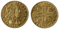 Louis XIII Gold.jpg