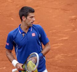 Novak Đoković - Roland-Garros 2013 - 009.jpg