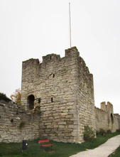 Store Henrik Ringmuren Visby.jpg