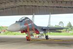 Su-30MK2 number 8533 Jan-2017.jpg