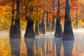 White River National refuge.jpg