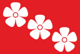 Флаг