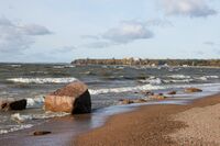 Берег Финского залива вблизи посёлка Репино 2.jpg