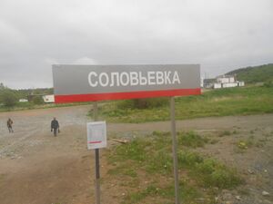 РЖД Соловьевка 2016-06.jpg