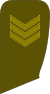 08-Lithuania Army-SSG (SPC).svg
